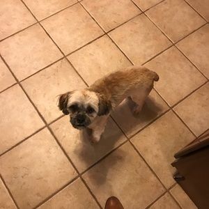 Meet your Posher, Tyler